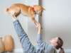 Doing Yoga with Pets!